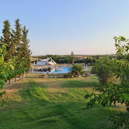 Janis Seaview Villa Nea Fokea Exterior photo